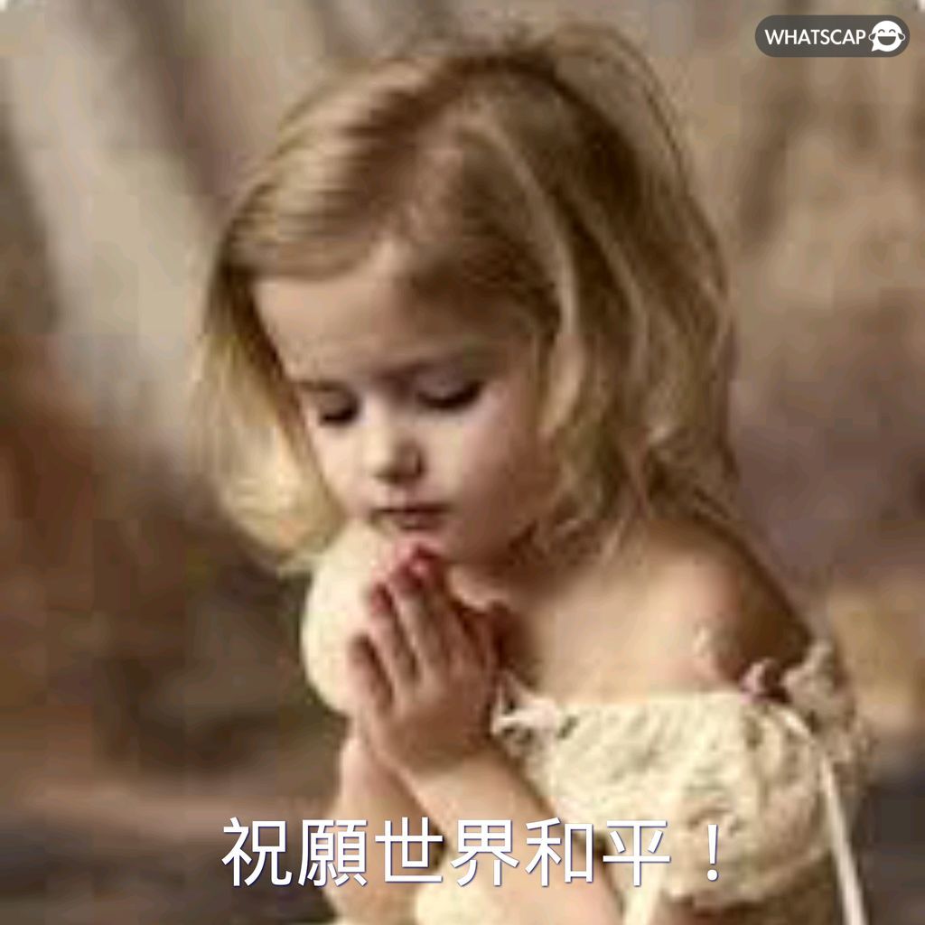 张志磊退出,冠军行列,传奇生涯圆,九游体育app下载,九游体育官网,九游体育官方网站,九游体育平台