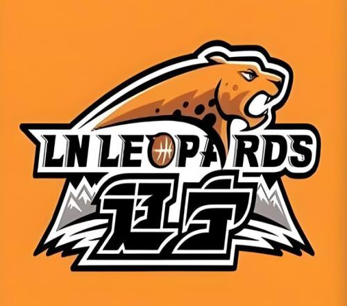 丁彦雨航成,为广州队,四字外援,九游体育app下载,九游体育官网,九游体育官方网站,九游体育平台