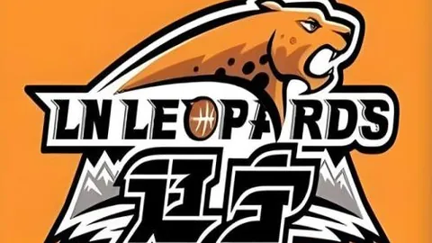 “丁彦雨航成为广州队‘四字外援’，携手郭艾伦竞技，九派新闻独家报道。”